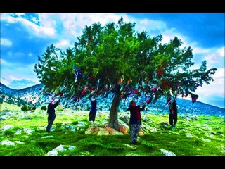 Hazal - Güvercinler Uçabiliyor Mu?