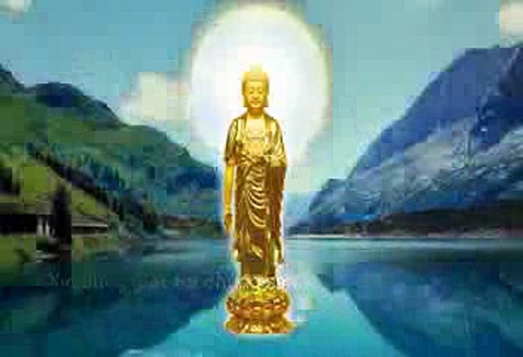XIN ĐỪNG GIẾT HẠI CHÚNG SANH VÔ TỘI……………  NAM MÔ A DI ĐÀ PHẬT