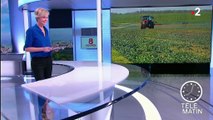 72 % des fruits et légumes contiennent des pesticides