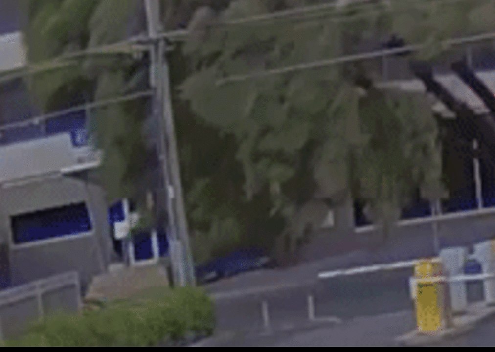 Motorist Narrowly Avoids Falling Tree in Melbourne