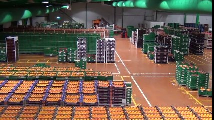 Anecoop : Présentation de l'entreprise et du projet