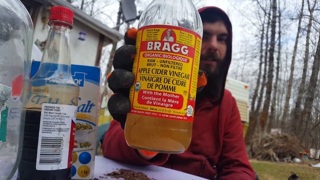 Fermenting Grains For Chickens Brokestead the Homestead