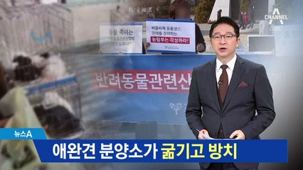 강아지 굶기고 백골로 사체 방치 ‘죽음의 펫숍’