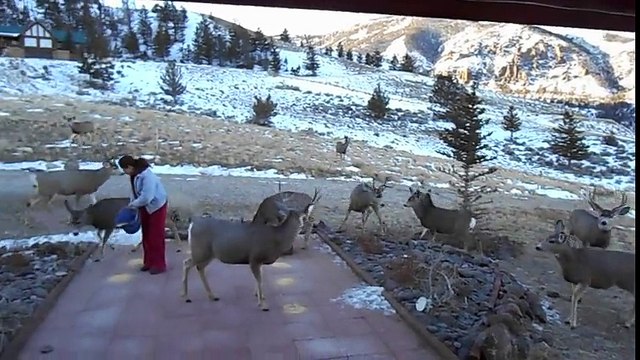 Njegova supruga je izašla iz kuće, a ono što se dogodilo nekoliko trenutaka kasnije ćete posmatrati u NEVJERICI!