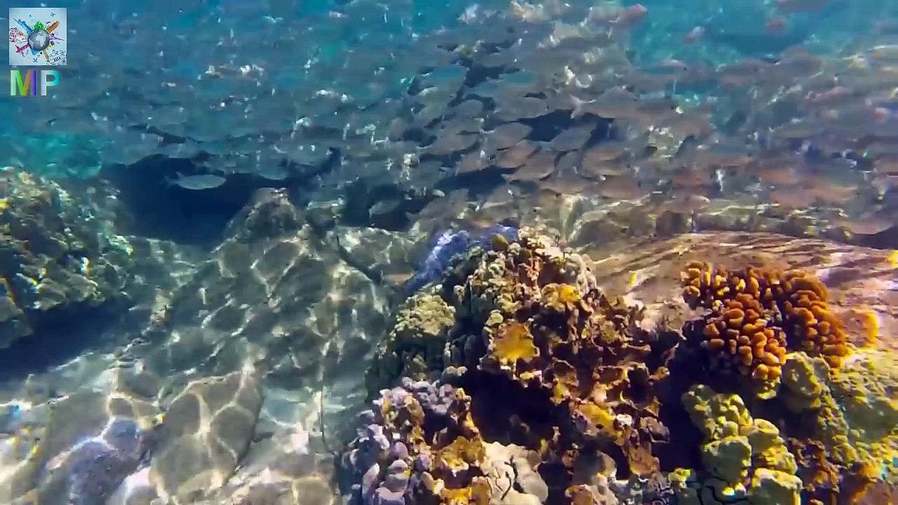 MT Trip To Maui Hawaii