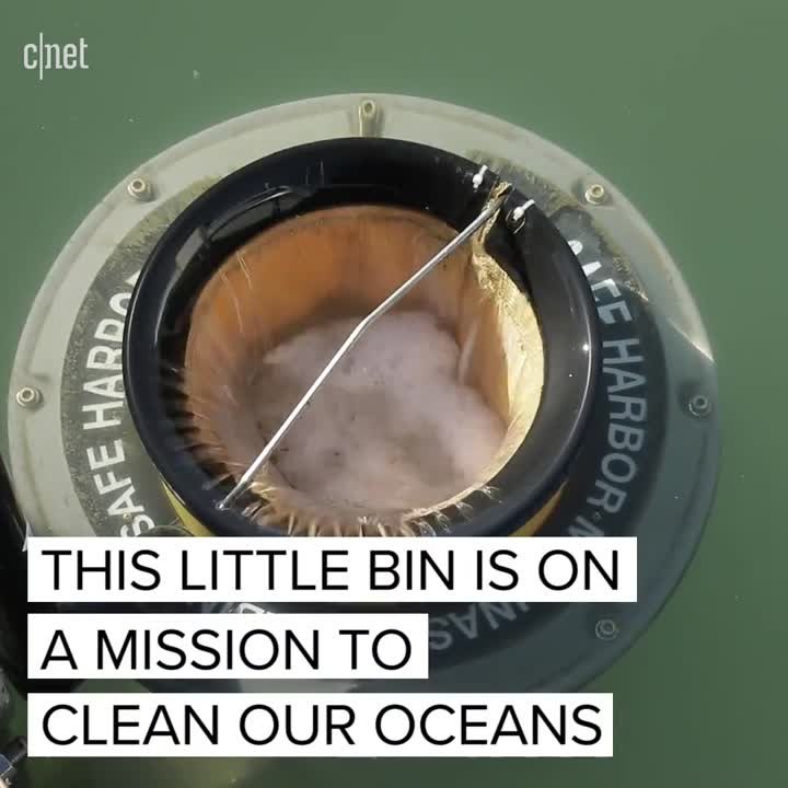 Seabin tech that cleans our oceans video Dailymotion