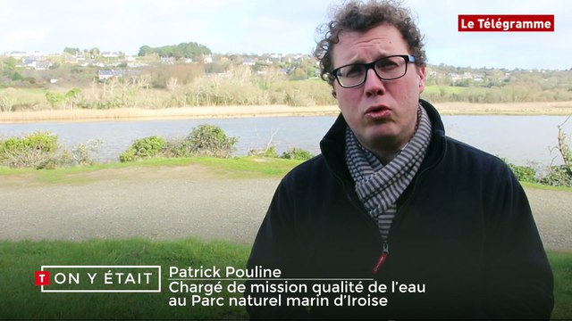 Crozon (29). Opération de dépollution du marais de l'Aber