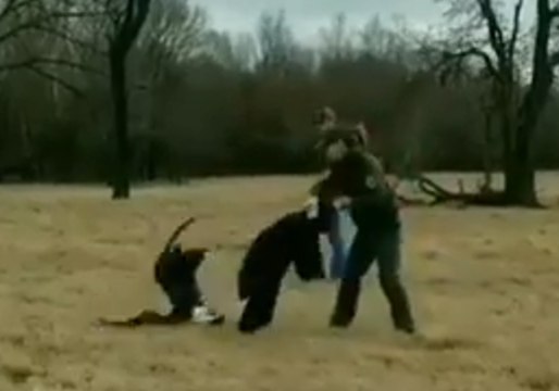 Game Warden Captures Flightless Bald Eagle With Injured Wing