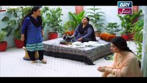 Mein Mehru Hoon Ep 53 - on ARY Zindagi in High Quality 20th February 2018