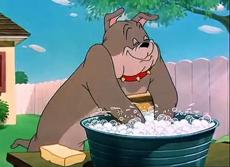 Tom and Jerry Classic Collection Episode 060 - Slicked-up Pup [1951]