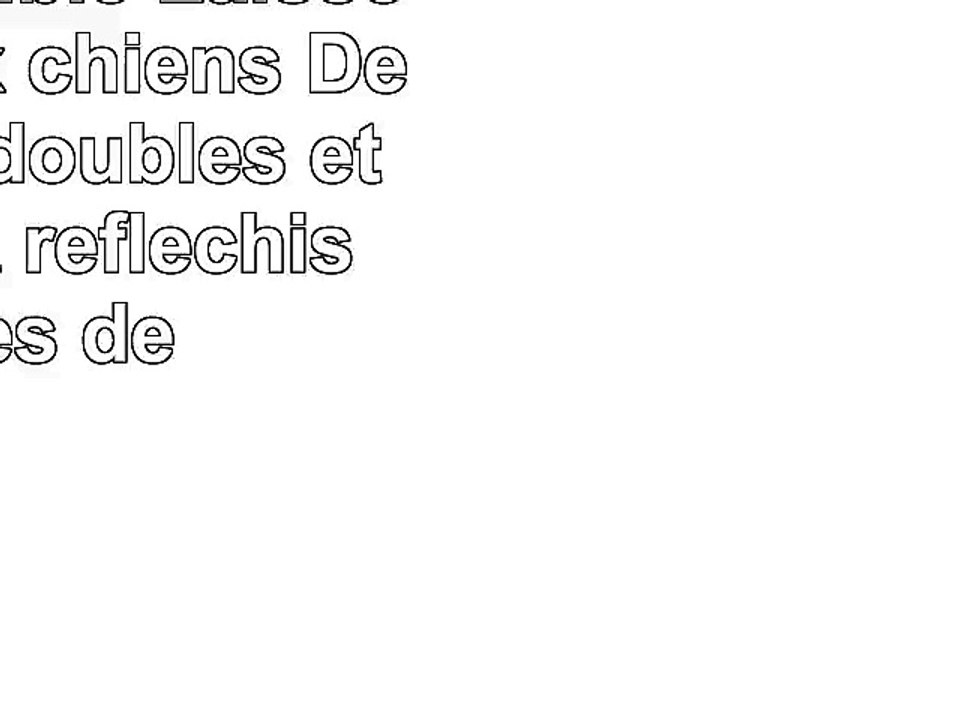 Laisse double  Laisse pour deux chiens  Des laisses doubles étirables et réfléchissantes