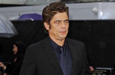 Benicio del Toro joins The Rise and Fall of the Brown Buffalo