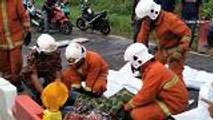 Four family members killed in car-lorry collision