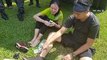 Missing Singaporeans in Gunung Pulai found