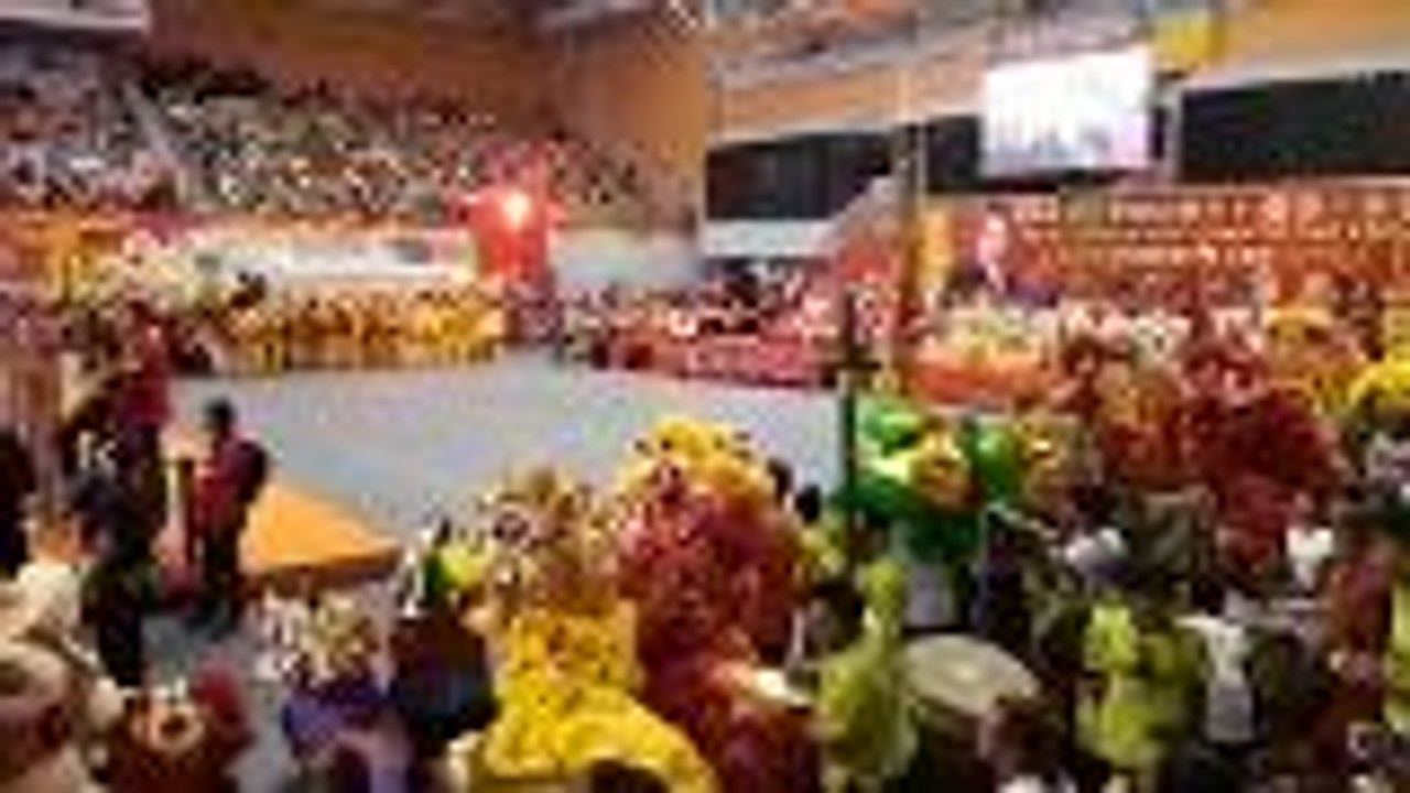 Energetic lion, dragon and unicorn displays wow crowd