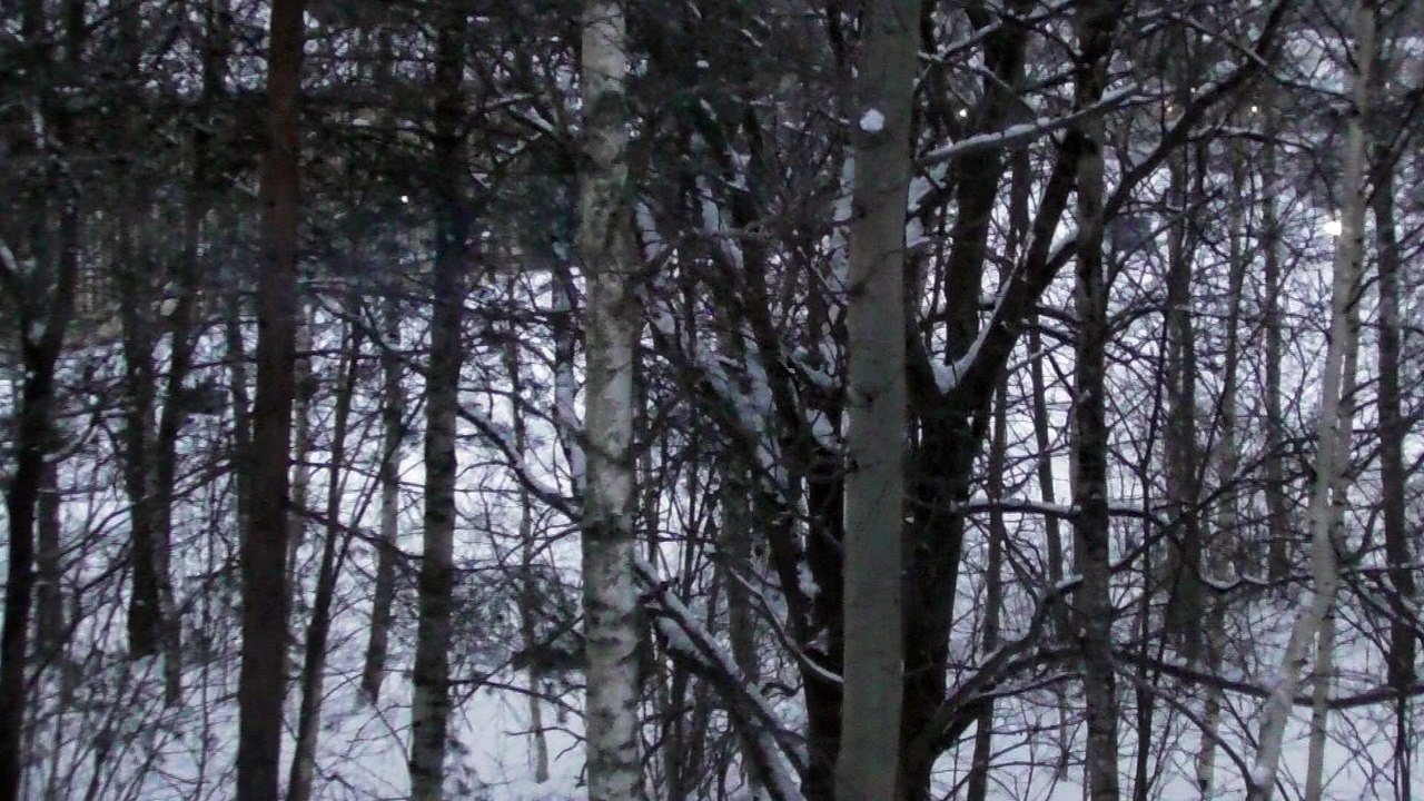 Feb 20 2018 DL2