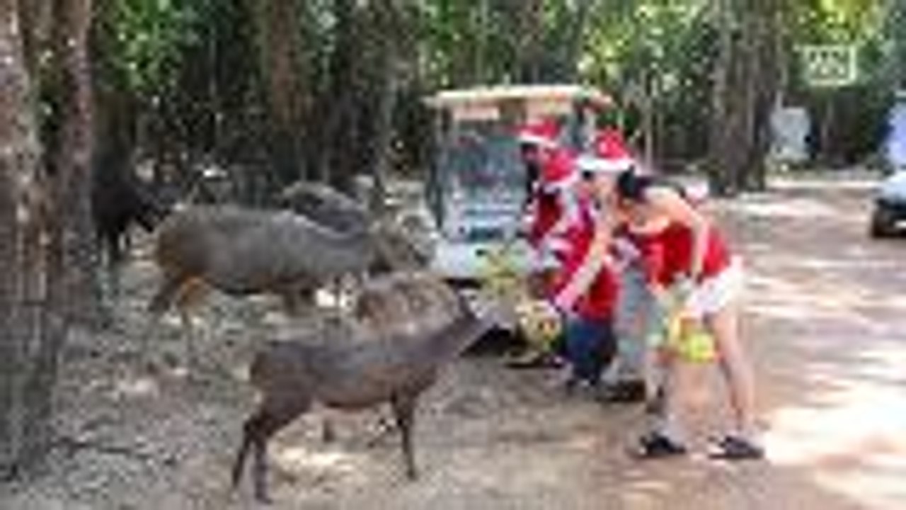 Zookeepers dressed as Santa Claus welcome visitors