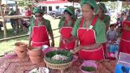Nakhon Phanom's bug eating festival