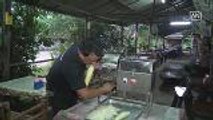 Technician invents papaya shredder for Som Tam preparation