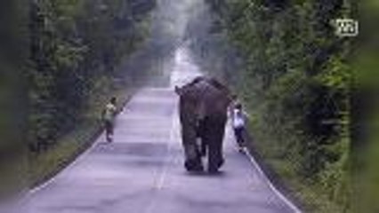 Close shave for runners