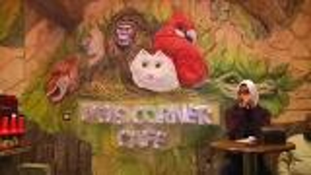 Animal-friendly cafe