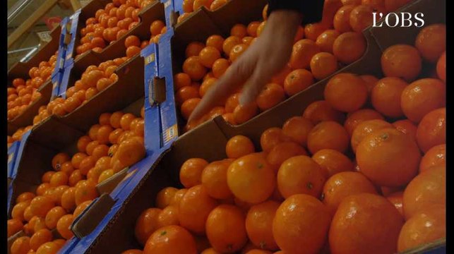 Clémentines, raisins, cerises : 3/4 de nos fruits contiennent des résidus de pesticides