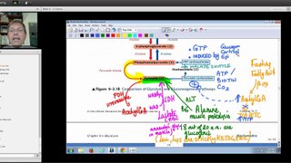 Becker Science - Biochemistry 07 [Part 4]