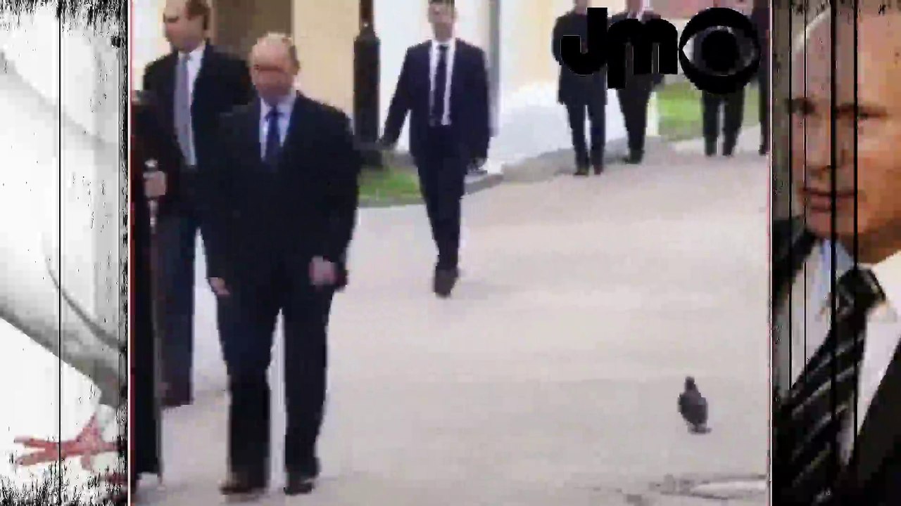 L'INCROYABLE VIDÉO DE VLADIMIR POUTINE AVEC UN PIGEON
