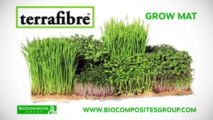 Grow your own microgreens with Terrafibre Grow Mats