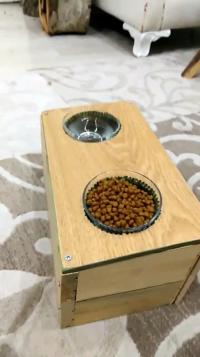 Cat Uses Special Feeder