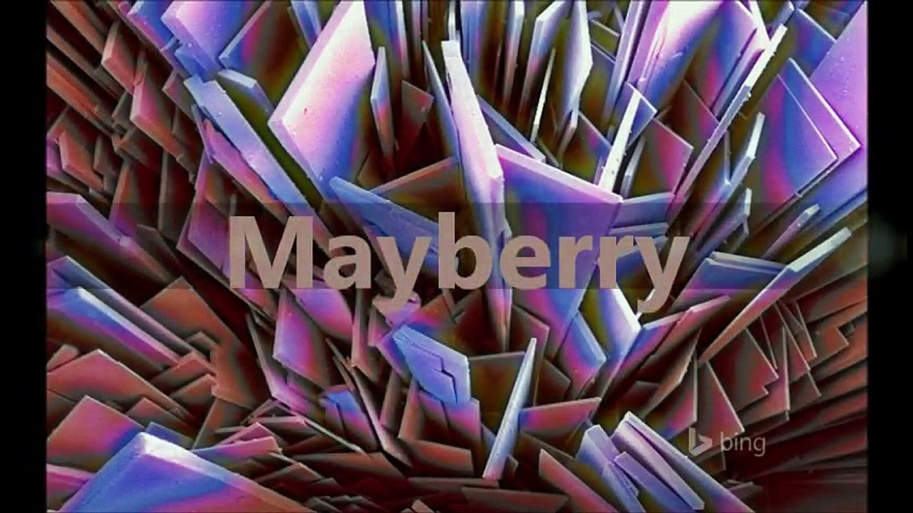 Mayberry (September 2005 - November 2005)