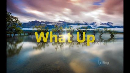 What Up (September 2004 - November 2004)