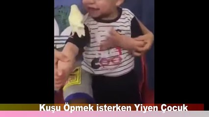 kuşu öpmek isterken yiyen çocuk