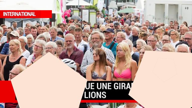 Un lion dévore une touriste américaine - attaques de tigres et lions - compilation
