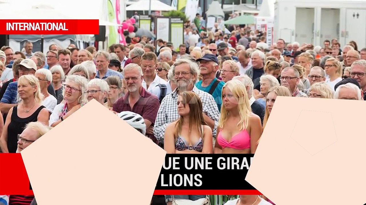 Un lion dévore une touriste américaine - attaques de tigres et lions - compilation