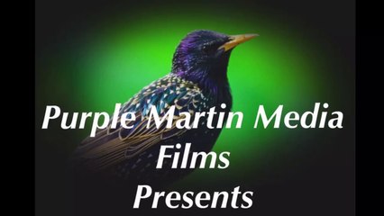 Discover the Legacy of Manitowoc's Chief Waumegesago 🏞️