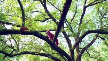 Quỹ Trung Mỹ Nhân _ Beauties in the Closet Tập 1