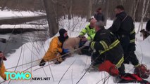 Pompiers à la rescousse : Sauvetage d'un chien coincé sur un bloc de glace