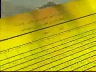 conseilles aux pelrains