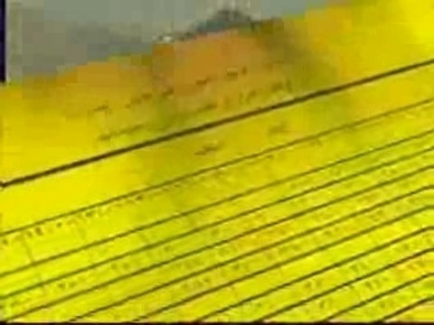 conseilles aux pelrains