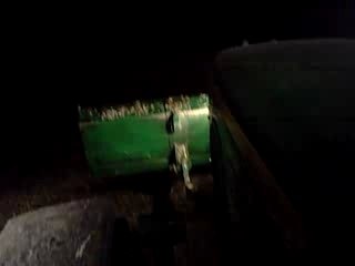 Tassage de maïs 2007