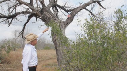 Ranchero texano demanda a Patrulla Fronteriza por instalar una cámara en su propiedad