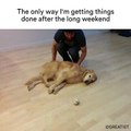 Long Weekend Productivity