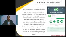 How to use the WhatsApp Business App & the Uses