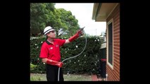 General Pest Control in Sydney, AU - Factors To Consider When Hiring A Professional Pest Control Company