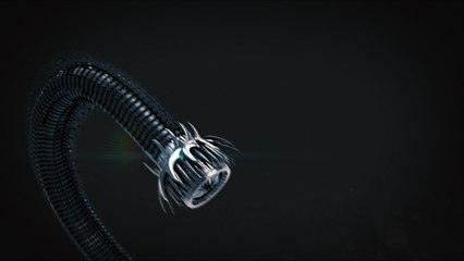 BK Ranching Company LLC Advert 4