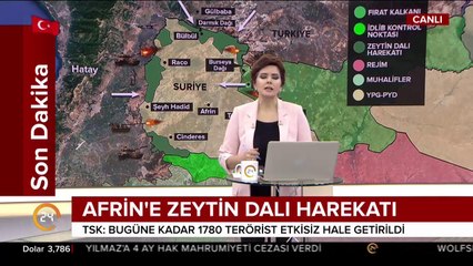 Afrin'e Zeytin Dalı Harekatı