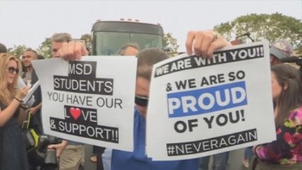 La cámara baja de Florida rechaza debatir el proyecto contra armas de asalto