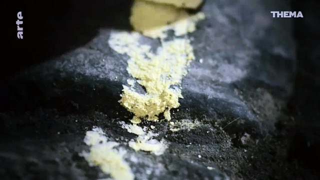 Un journaliste rencontre un prêtre banni de ses fonctions pour pédophilie : Je n'ai eu aucune formation morale - Regardez