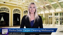Pocka Dola: Carpet Cleaning Melbourne Cranbourne Wonderful 5 Star Review by Jason Strachan